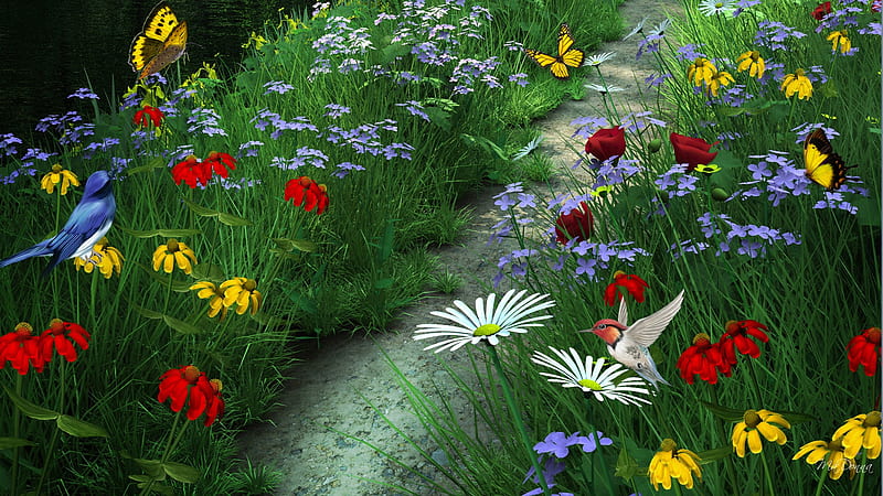 Enjoying Summer, wild flowers, firefox persona, butterflies, spring, summer, flowers, path, color, field, meadow, HD wallpaper