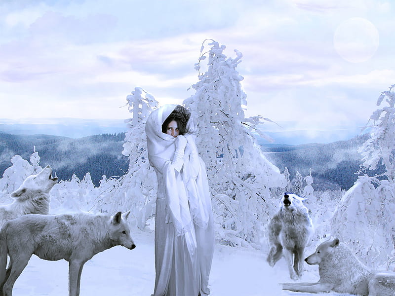 Fantasy Wolves, art, fantasy, snow white, wolves, abstract, HD wallpaper