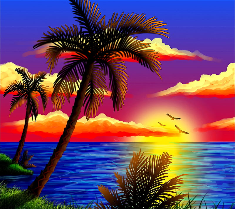 Sunset, palm, sea, HD wallpaper