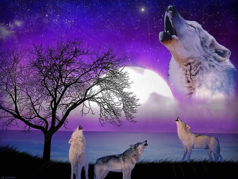 Wolveshowl, tree, fantasy, moon, purple, wolves, animals, HD wallpaper