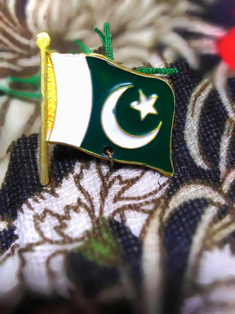 Flag, army, art, famous, pakistan, 2021, military, sargodha, HD phone  wallpaper | Peakpx