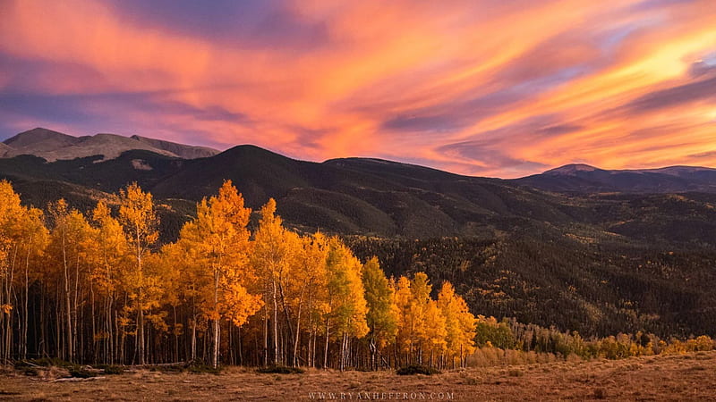 Brilliant sunset lighting up the aspens in Southern Colorado, fall, clouds, landscape, trees, colors, sky, mountains, usa, leaves, autumn, HD wallpaper