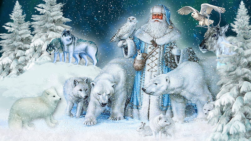 Father Christmas's Nature, owls, trees, blue, winter, forest, Christmas, 192, Feliz Navidad, woods, snow, bears, wolves, HD wallpaper