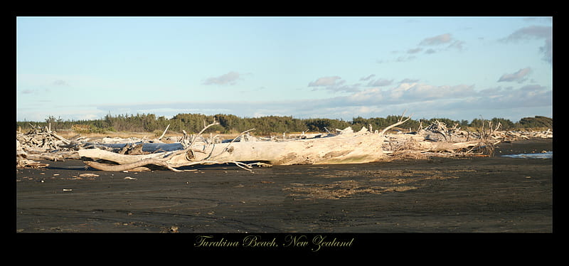 Turakina Beach, Rangitikei, Nz, beach, tasman, north island, nature, island, coast, sea, HD wallpaper