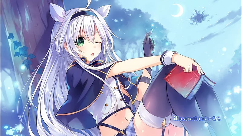 Anime Rokudenashi Majutsu Koushi to Akashic Records HD Wallpaper