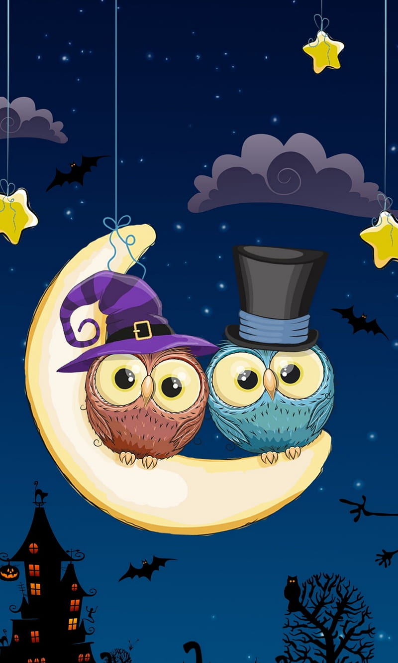 Halloween owls, cute, night, old, witch, HD phone wallpaper