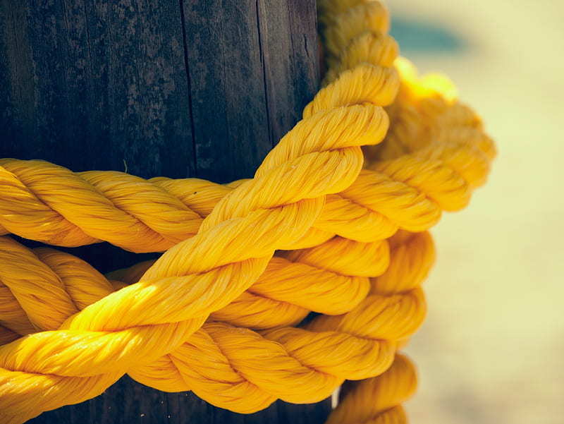 Yellow Rope, rope, yellow, HD wallpaper