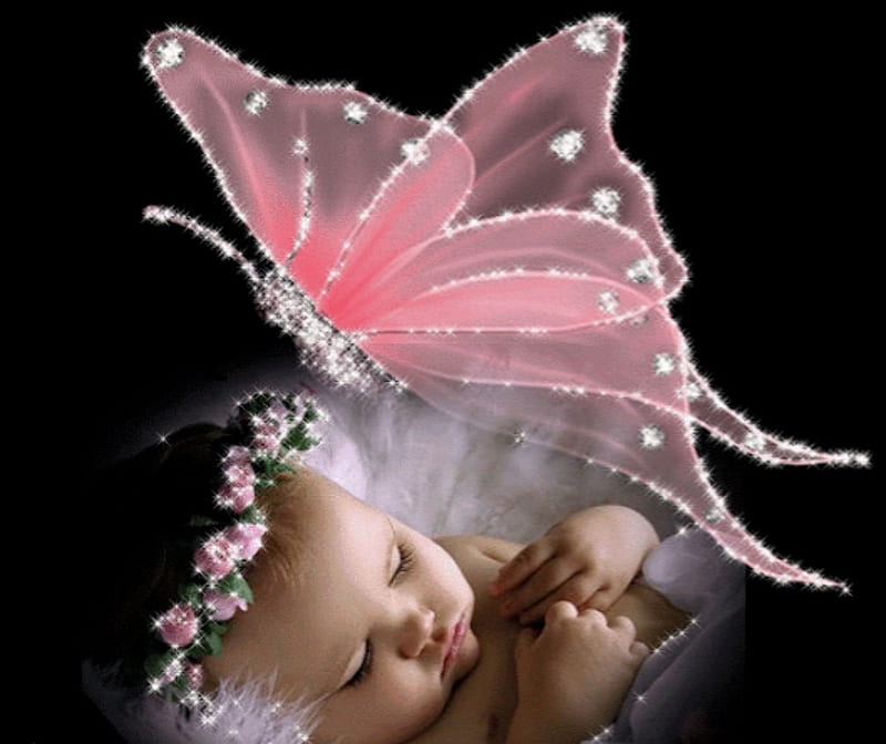  Buenas noches, bebé, flores, rosa, mariposa, Fondo de pantalla HD