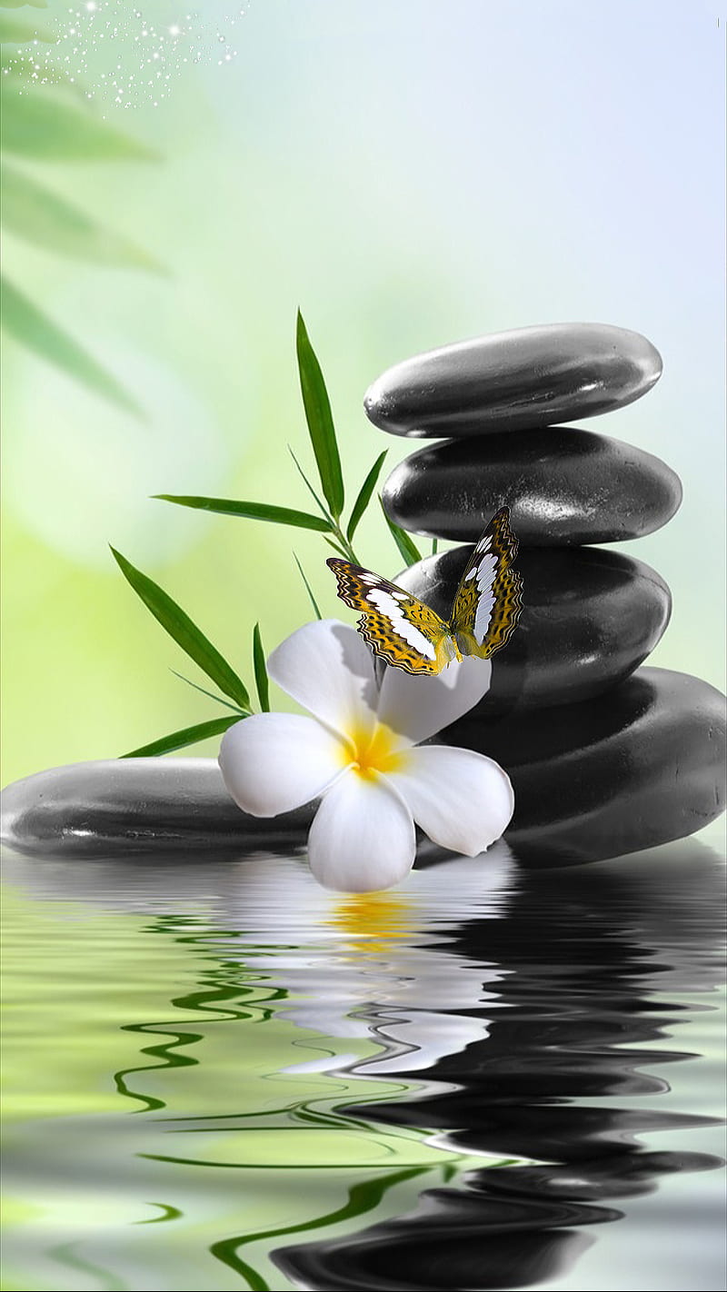 Zen stones, black, butterfly, flower, leaf, reflection, stone, water, HD phone wallpaper