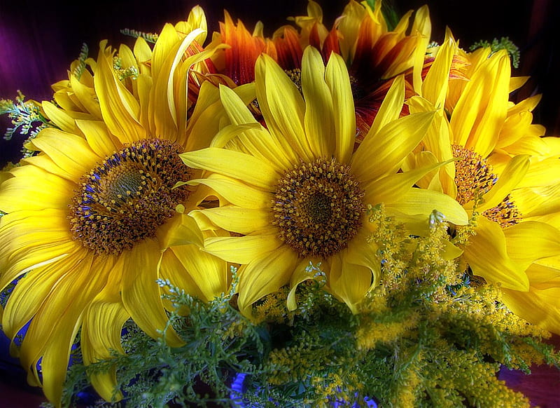 Sunflower, sun, joy, bouquet, intense yellow, summer, flower, color, nature, HD wallpaper