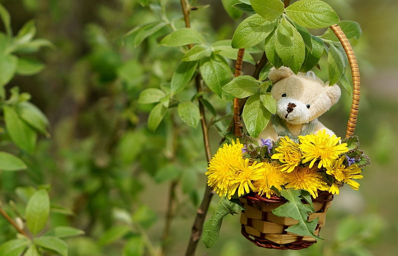 Summer decoration with teddy bear, green, basket, flower, summer, toy, yellow, teddy bear, HD wallpaper