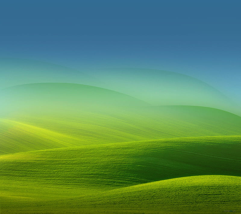 Grass land, green, heart, themes, HD wallpaper