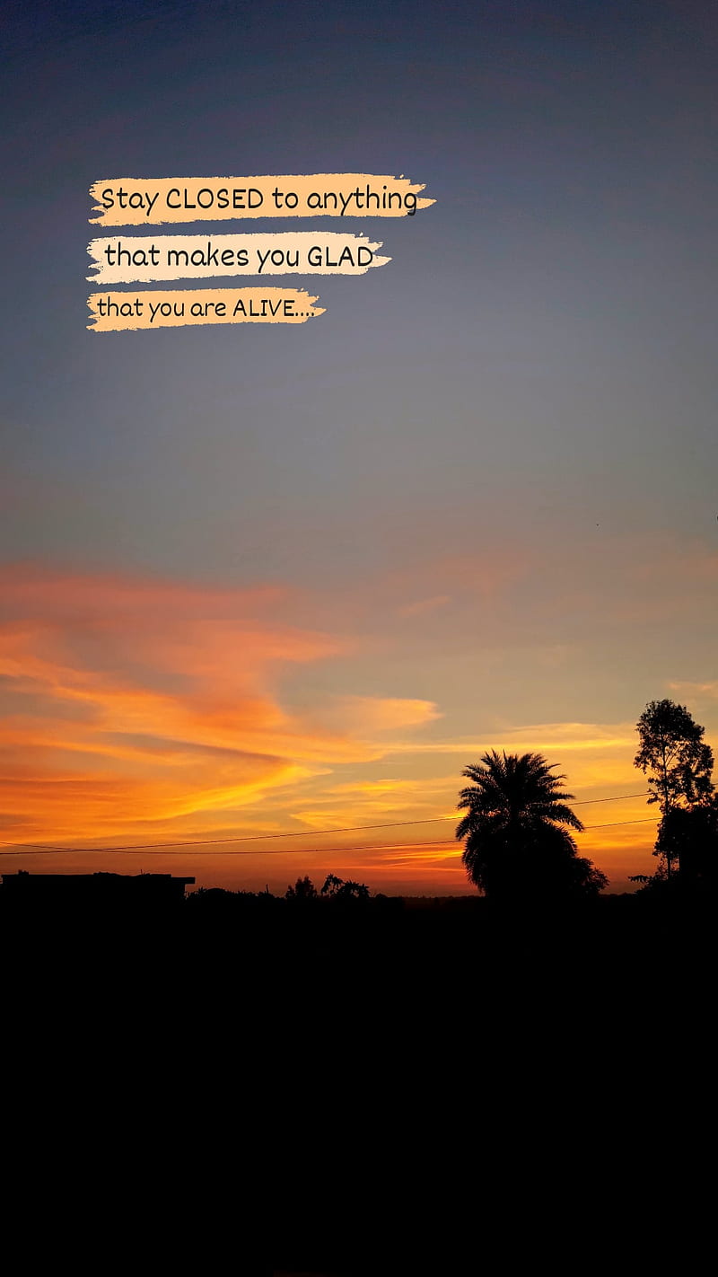 Sky quote, black, blue, inspiration, orange, quotes, red, skies, tree, HD phone wallpaper