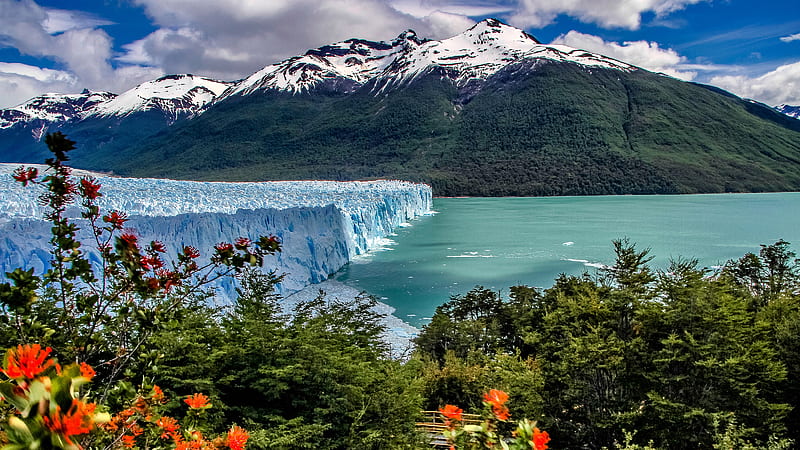 Earth, Glacier, Andes, Argentina, Argentino Lake, Bush, Lake, Los Glaciares National Park, Mountain, Patagonia, Perito Moreno Glacier, HD wallpaper