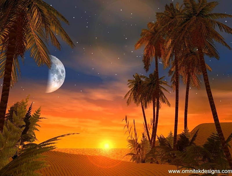 sunset moonrise, sunset, moonrise, palm trees, HD wallpaper