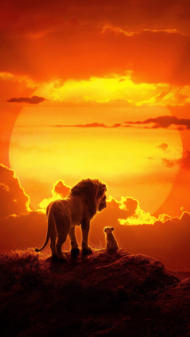 The Lion King, lions, art, land, movie, kong, queen, HD phone wallpaper