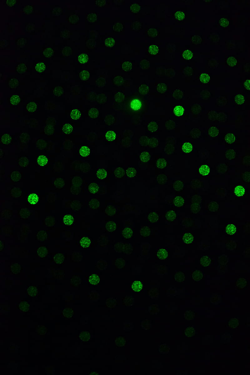 dots, glare, bokeh, green, black, dark, HD phone wallpaper