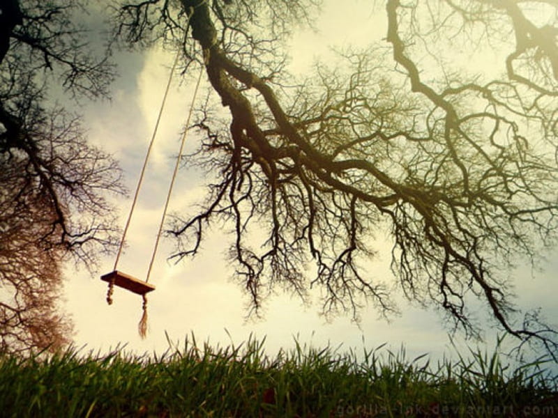 Swing on the Tree, tree, nature, sky, swing, HD wallpaper | Peakpx