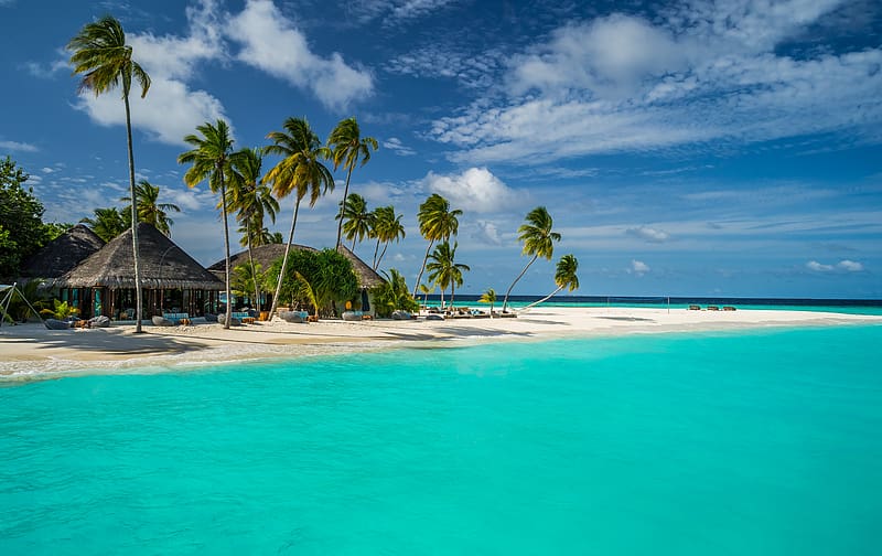 Sky, Sea, Tropics, Lagoon, Tropical, Resort, , Maldives, Seaside, Palm Tree, Constance Halaveli Resort, HD wallpaper