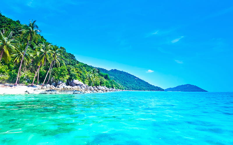 Samui Island, tropical island, ocean, Koh Samui, Thailand, Kra Isthmus, azure lagoon, palm trees, seascape, islands of Thailand, HD wallpaper