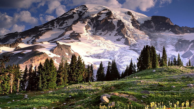 rushmore, mountain, clouds, snow, trees, USA, HD wallpaper