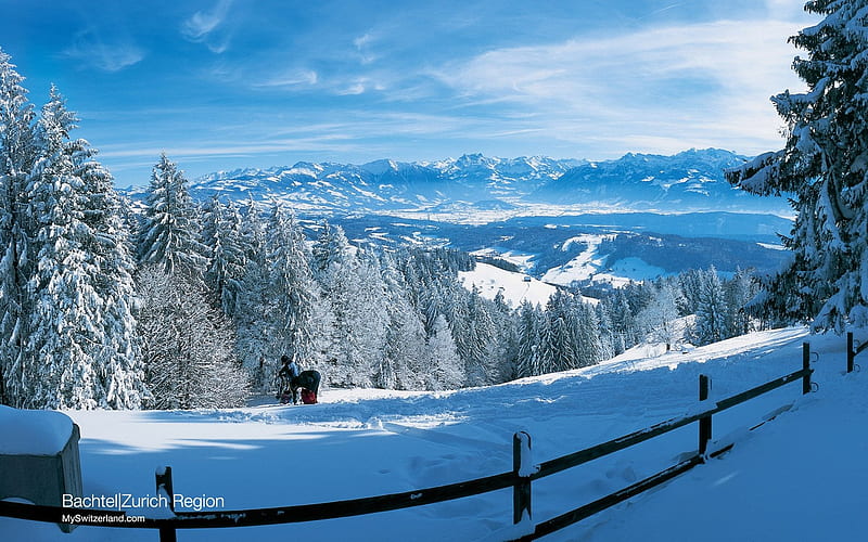 Snow covered landscape at Bachtel-Switzerland skiing holidays, HD wallpaper