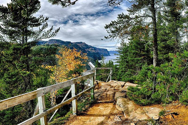 rocky path, trees, wooden fence, footpath, lake, HD wallpaper