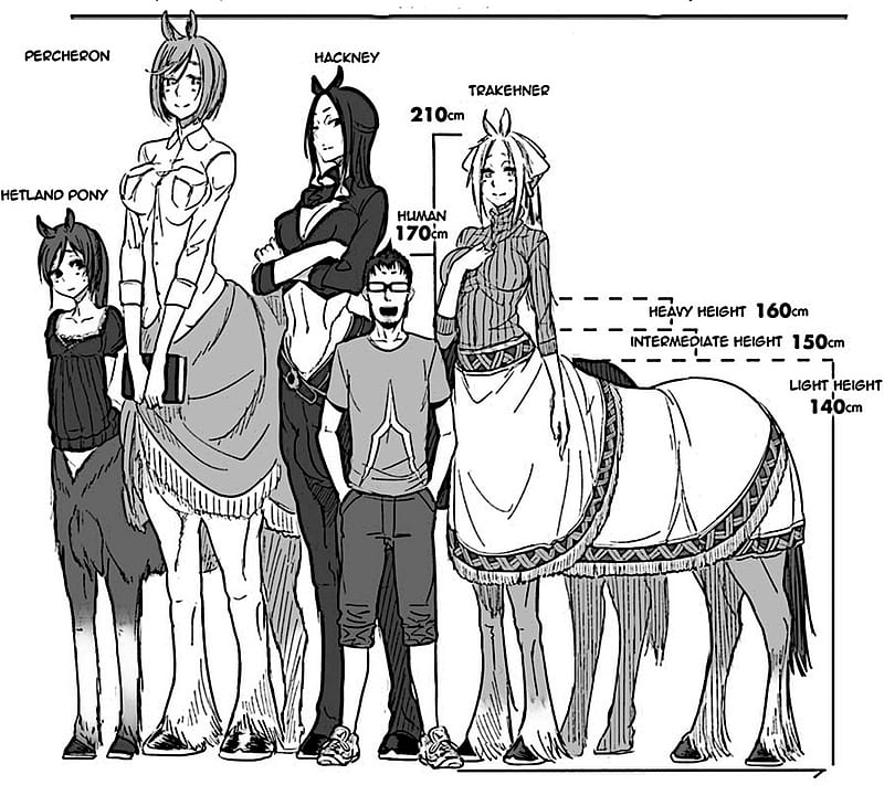 Centaur Love, furry, horse, monster girl, yiff, HD wallpaper