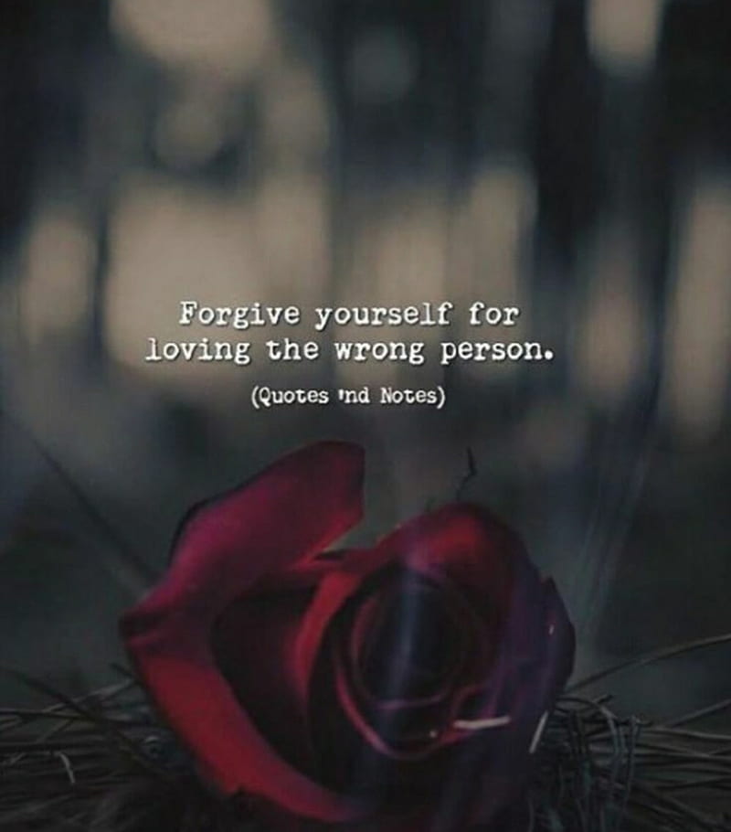 Forgive, prayer, touch, HD phone wallpaper | Peakpx