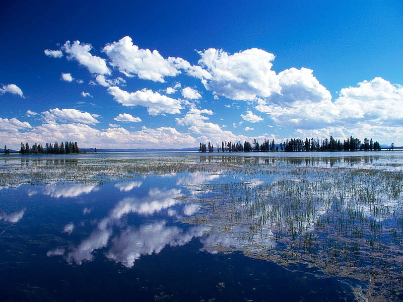 Yellowstone Lake, grass, bonito, clouds, nice, scenario, green, mirror, paisage, gorgeous, rivers, blue, amazing, islands, lakes, horizon, paysage, fantastic, fabulous, sky, lagoons, water, cool, yellowstone, plants, awesome, nature, magnific, scene, landscape, HD wallpaper