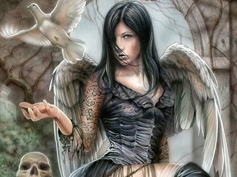 Gothic Angel, fantasy, 3d, gothic, cg, angel, abstract, skull, artwork, HD wallpaper