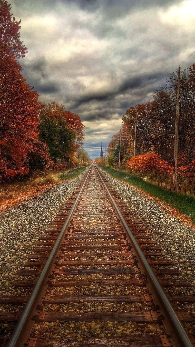Train track, cloudes, nature, railway, stones, track, train, trees, HD phone wallpaper