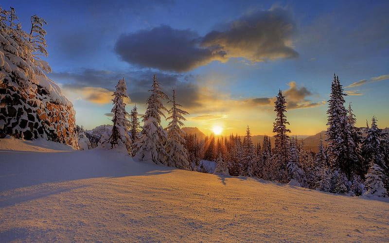 Mount Rainier National Park Winter Sunset, HD wallpaper