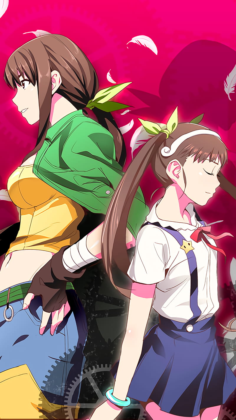 Monogatari: The 5 Best & 5 Worst Series Of The Whole Franchise, Ranked