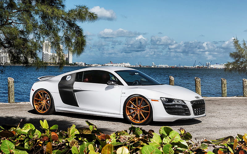 Audi R8, 2019, exterior, front view, new white R8, tuning R8, bronze wheels, German sports cars, Audi, HD wallpaper
