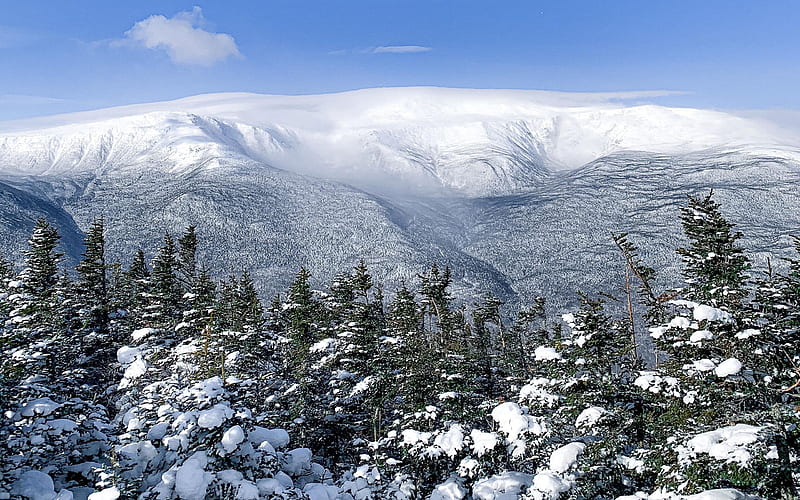 Mount Washington viewed from Wildcat Mountain, New Hampshire, sky, snow, trees, mountains, usa, HD wallpaper