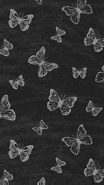 HD black butterflies wallpapers | Peakpx