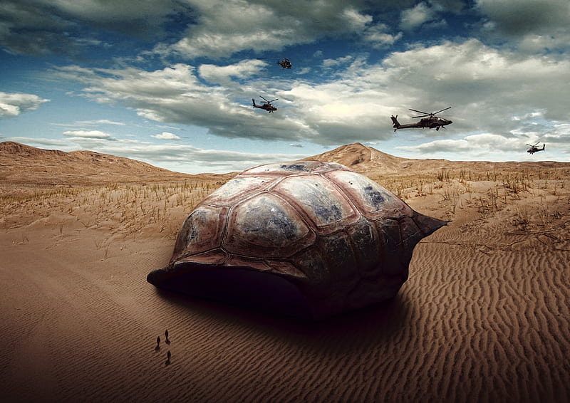 Sci-fi, sci-fi, fantasy hop manipulation, turtle, surreal, digital art ...