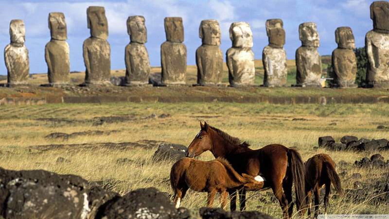 horses of easter island chile, colt, statues, stones, grass, horses, HD wallpaper