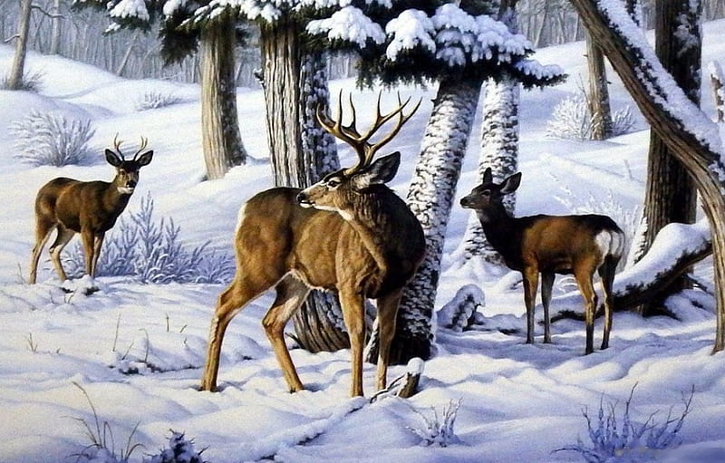 Not this Year, snow, painting, feeding place, trees, artwork, winter, deer, HD wallpaper