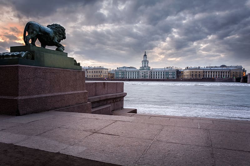 Cities, Building, Lion, Sculpture, Russia, River, Saint Petersburg, HD wallpaper