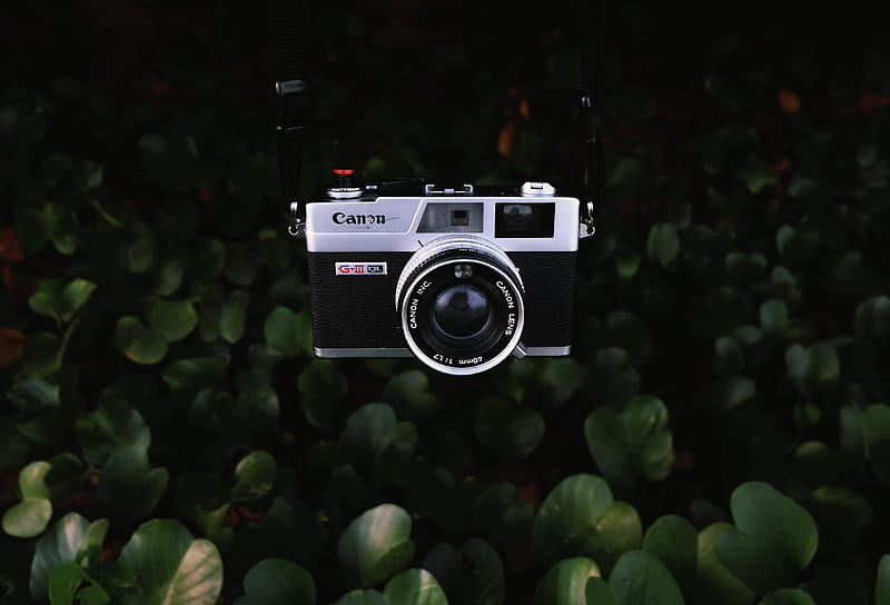 camera, lens, objective, retro, leaves, bush, HD wallpaper