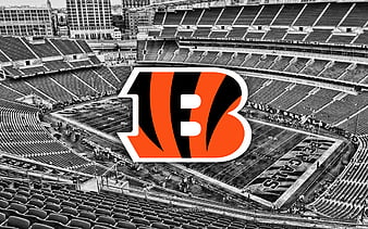 Cincinnati Bengals, American football team, creative American flag, orange  black flag, HD wallpaper