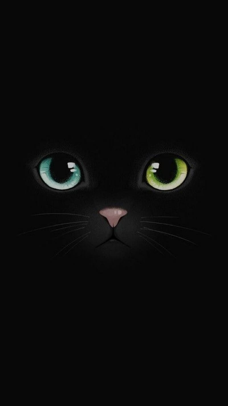 Dark Cat, action, active, animals, bards, black, cat, love, people, HD phone wallpaper