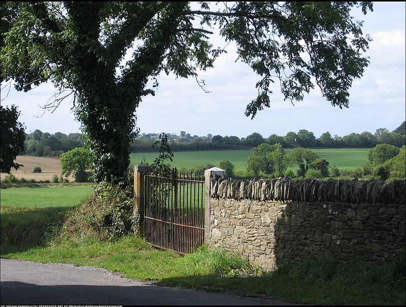 The wall in the green, rural, places, tree, arhitecture, walls, green, gates, popular, landscape, HD wallpaper