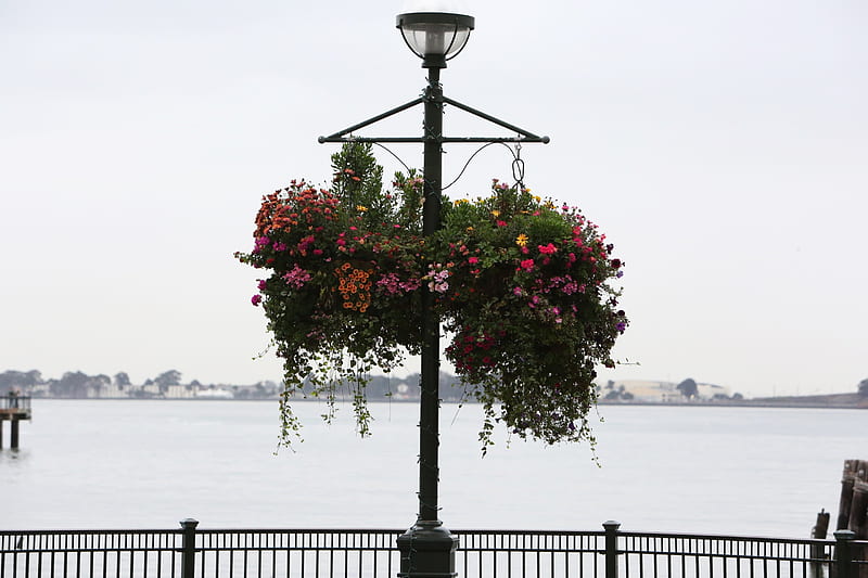 Streetlamp with flowers, streetlamp, flowers, river, sky, street, HD wallpaper