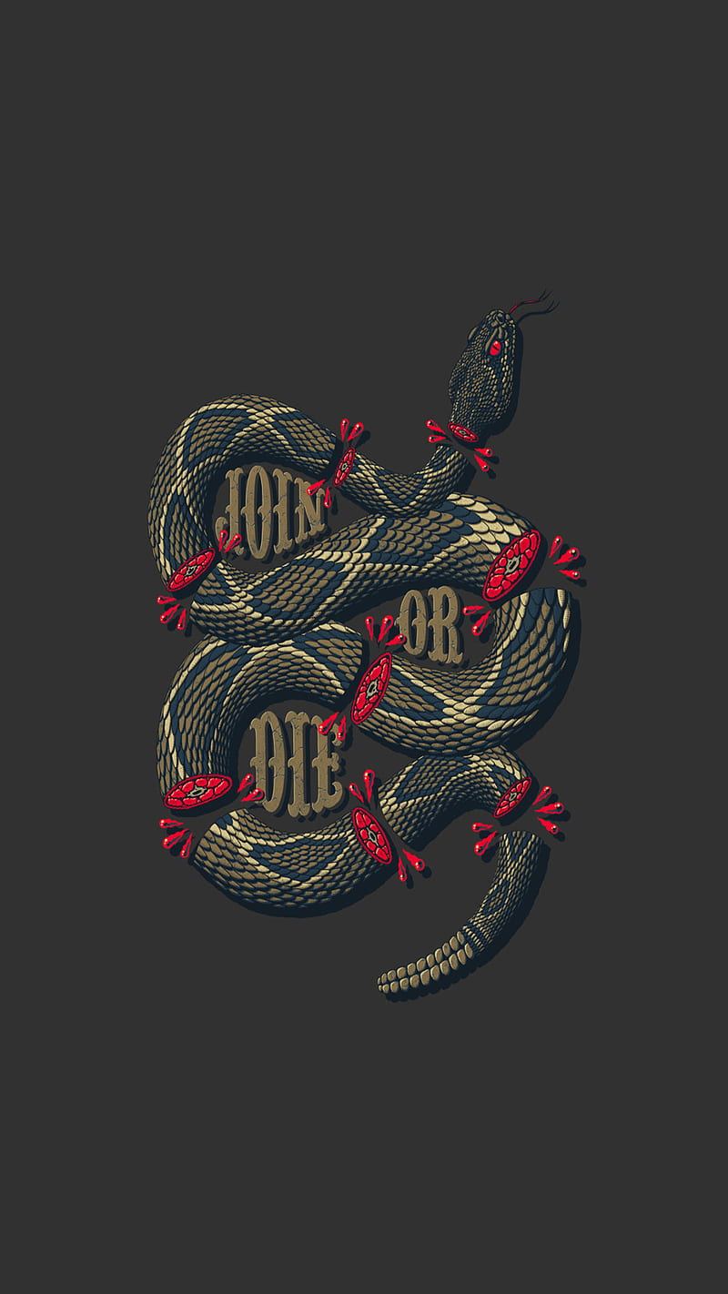 Join or Die 929, gray minimal, minimalist, rattle, rattler, red, simple, snake, viper, HD phone wallpaper