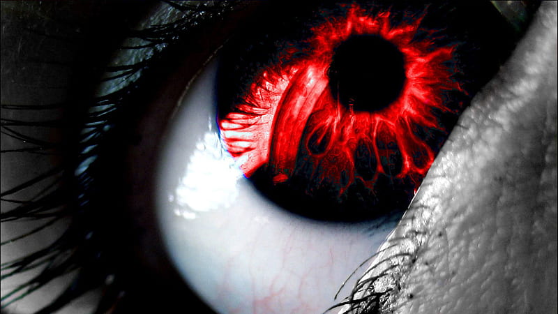 Closeup View Of Red Black Pupil Eye Red, HD wallpaper