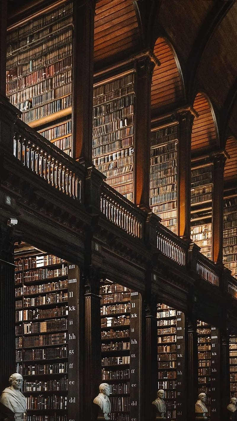 Study, Library Of Trinity, library, trinity, college, learn, books, education, HD phone wallpaper