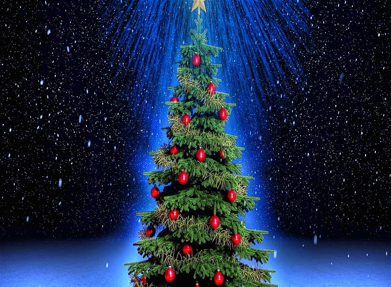 Christmas Tree, holiday, HD wallpaper | Peakpx